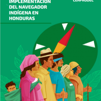 Cover of the publication